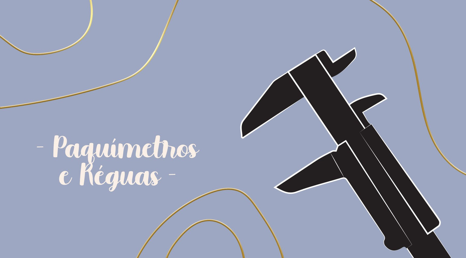 Paquímetros e Réguas