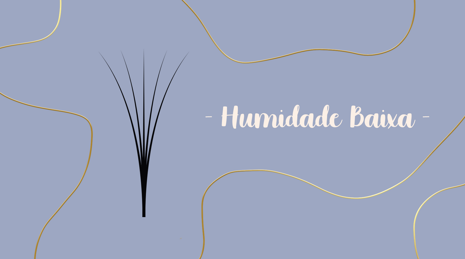 Colas Humidade Baixa