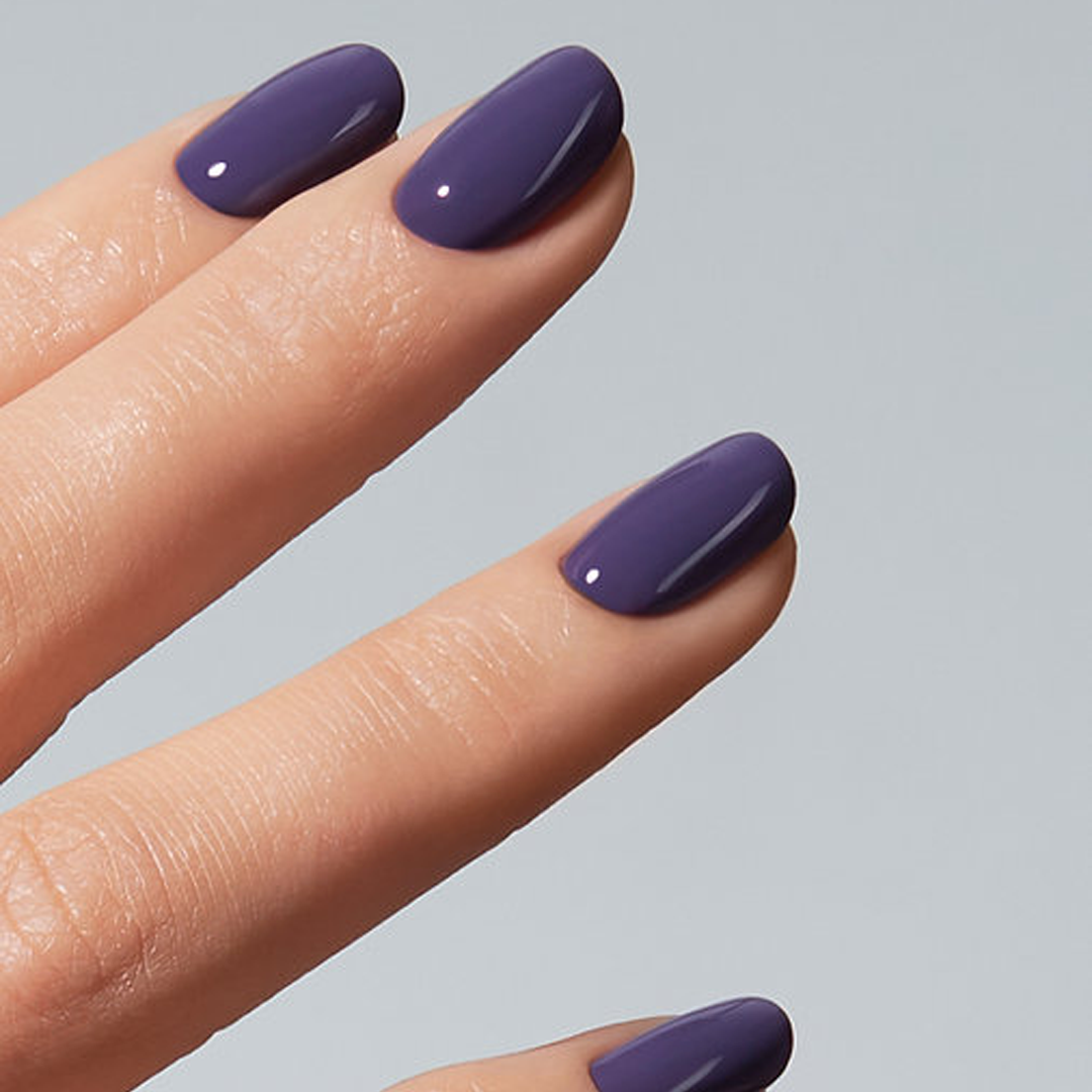 Color Gel Cavalier - American Creator