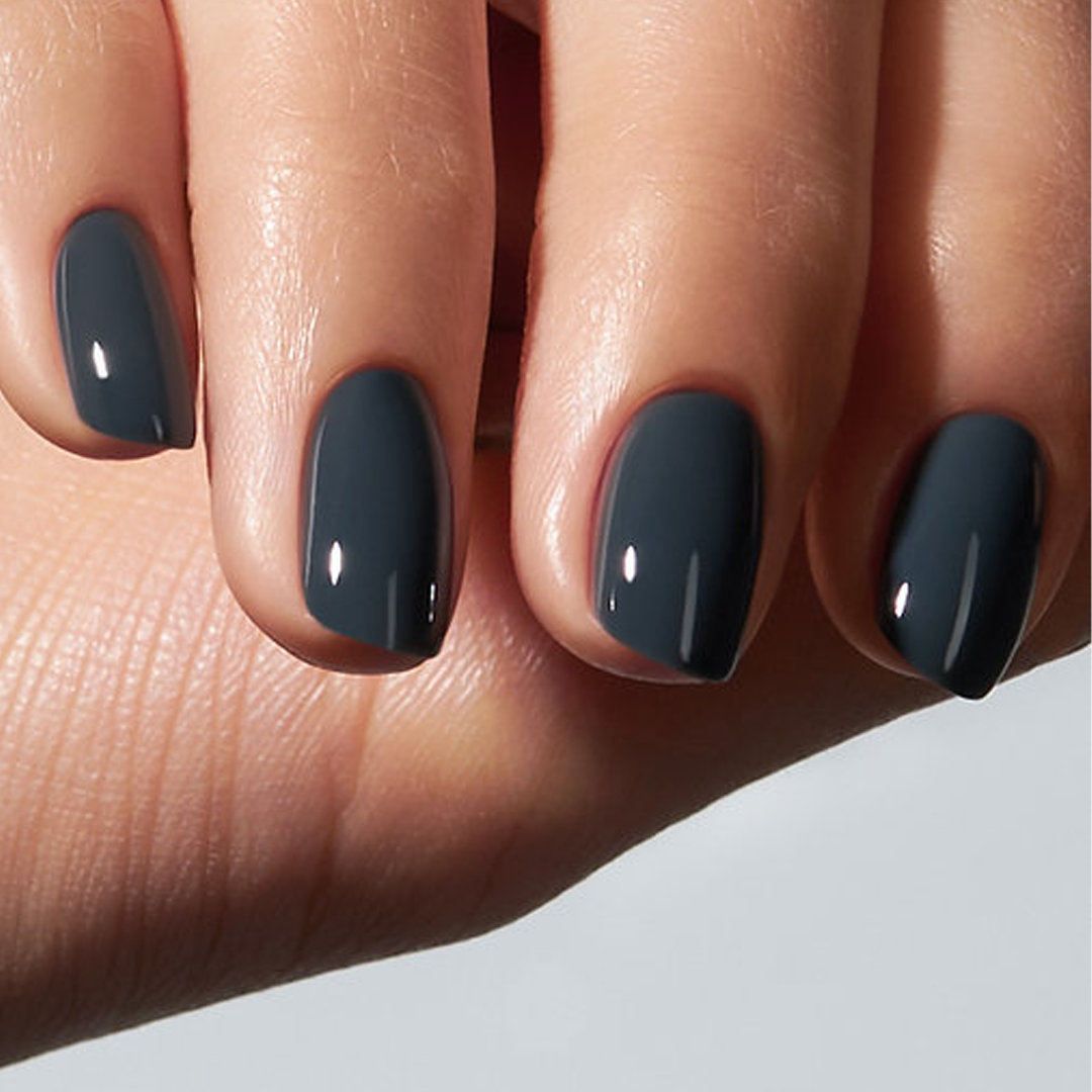 Color Gel Dolphin - American Creator