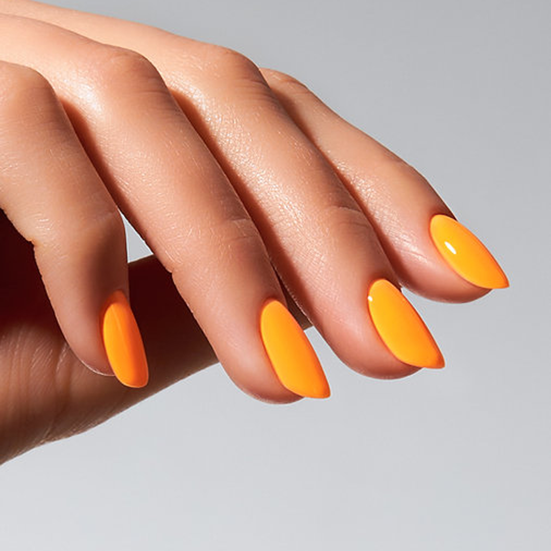 Color Gel Fox - American Creator