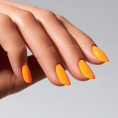 Color Gel Fox - American Creator