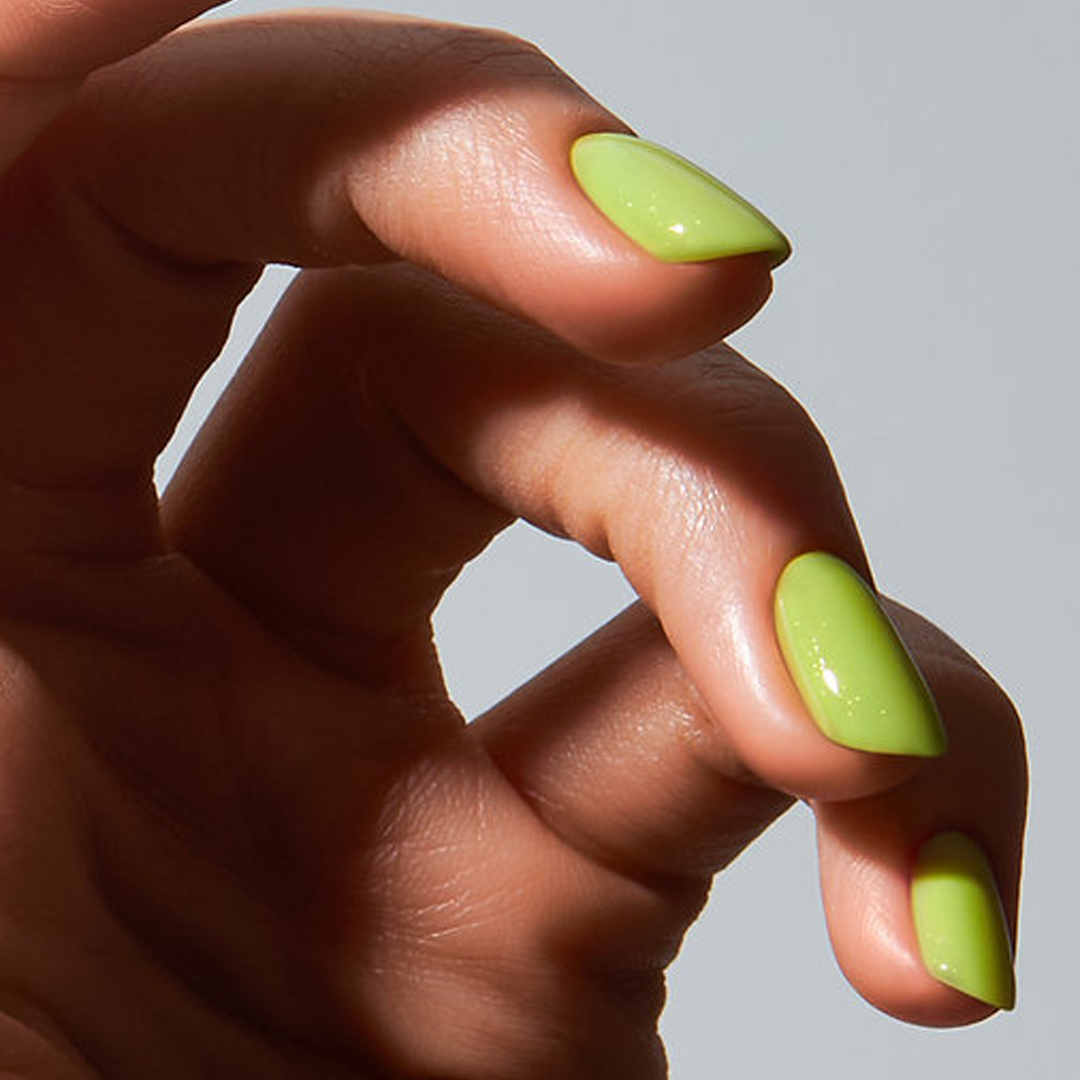 Color Gel Grasshopper - American Creator