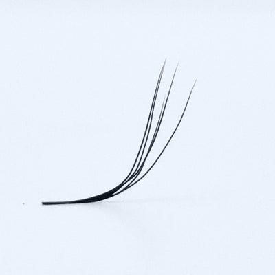 Wonder Volume 5D M Curl