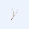 Ypsilon Volume Brown