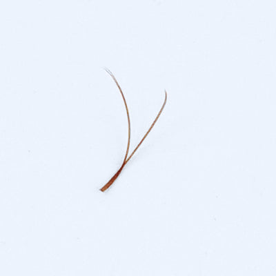 Ypsilon Volume Brown