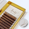 Ypsilon Volume Brown