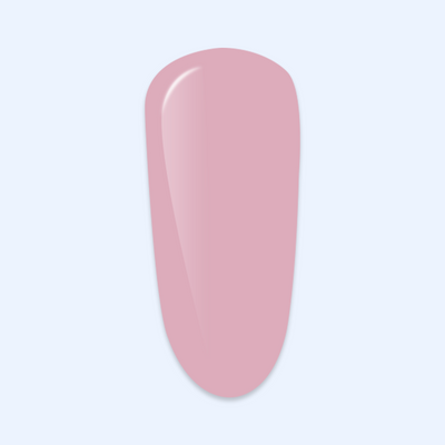 Elastic Base Purple - Cover Pink
