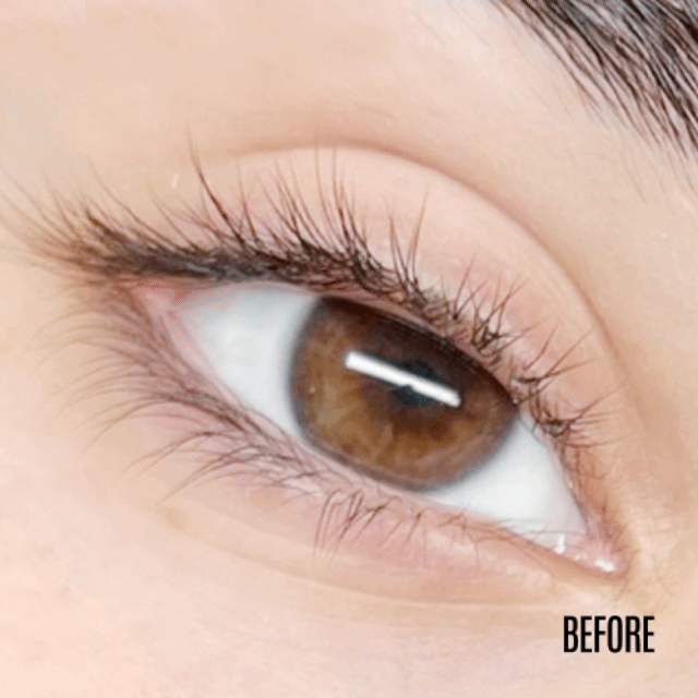 Dlux Illumination Lift individuais — resultado de lifting de pestanas