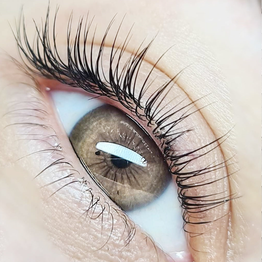 Dlux Primer para pestanas Delicate — preparação das pestanas com o primer Delicate