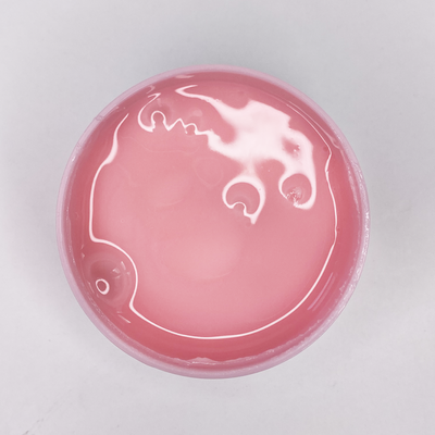 Polygel Cristal 50g - Pastilha Elástica