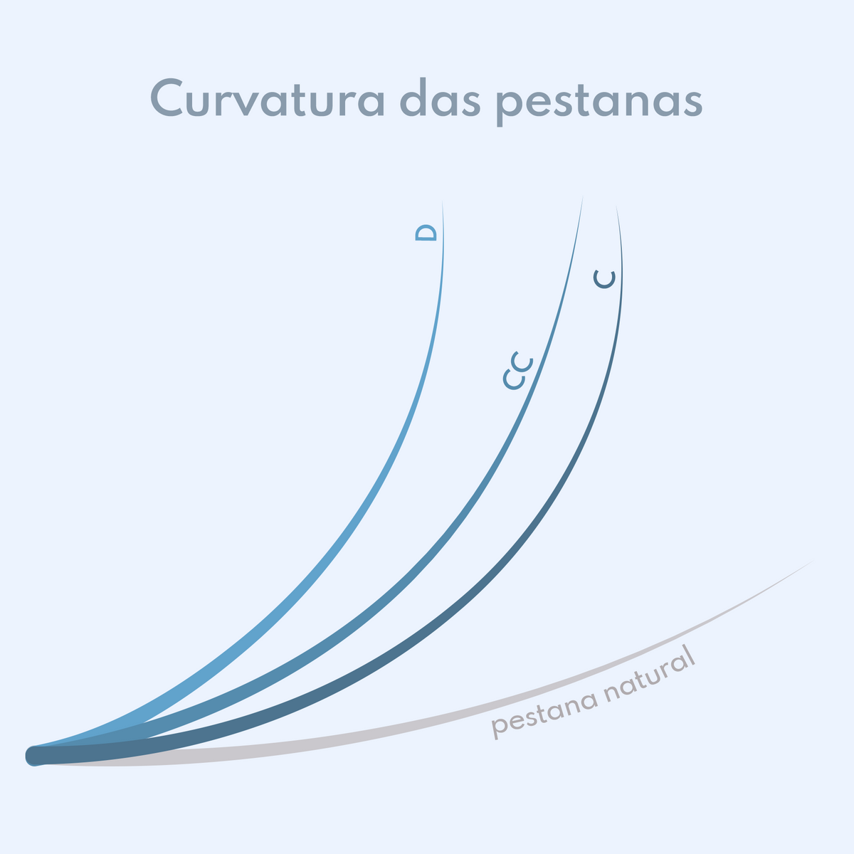 Guia visual das curvaturas C, CC e D para pestanas Sculptor