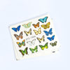 Conjunto Sticker Borboleta