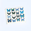 Sticker 3D MG501-06