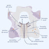 Moldes FB EasyMold