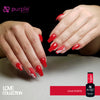 Purple Gel Varnish - Love Porto P2041